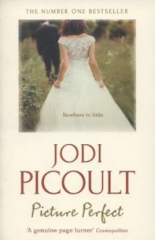 Image of Picture Perfect by Jodi Picoult Book