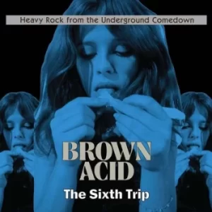 image of Brown Acid The Sixth Trip by Various Artists CD Album