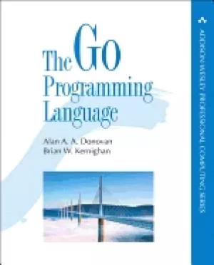 Image of go programming language