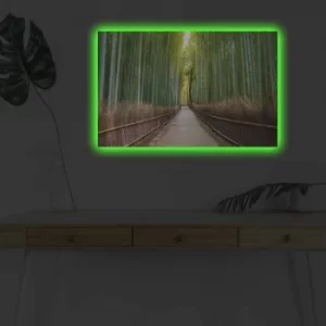Image of 4570DHDACT-159 Multicolor Decorative LED Lighted Canvas Painting