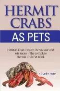 Image of hermit crab care habitat food health behavior shells and lots more the comp