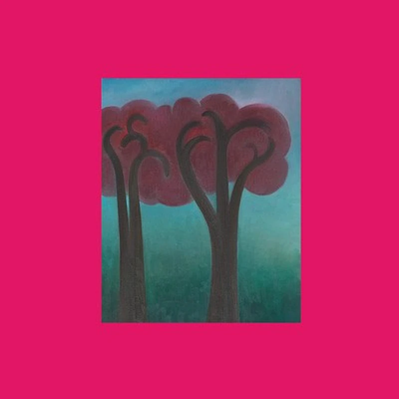 Image of Andre Ethier - Croak in the Weeds Vinyl Album - Used