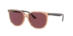 image of Ray-Ban Sunglasses RB4378 Polarized 66025Q