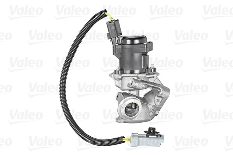 Image of EGR valve VALEO 700412