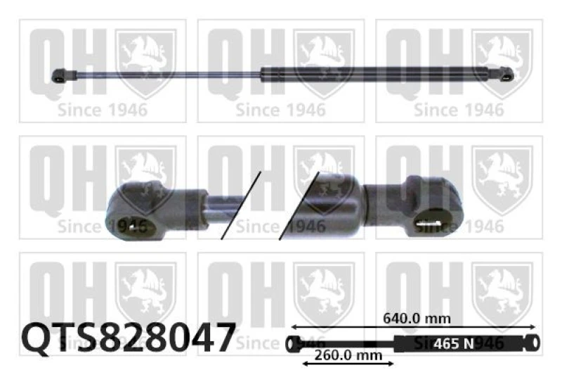 Image of QUINTON HAZELL Tailgate strut QUINTON HAZELL QTS828047