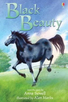 Image of Black Beauty by Mary Sebag-Montefiore and Anna Sewell and Alan Marks and Alison Kelly Hardback