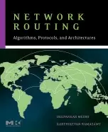 Image of network routing algorithms protocols and architectures