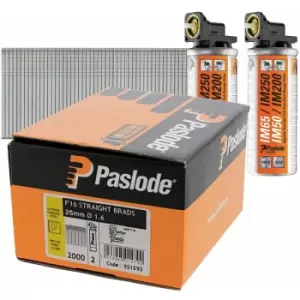 Image of Paslode - F16 x 25mm Straight Brad Stainless Steel Nails (IM65 / IM250) 2000 Box + 2 Fuel Cells