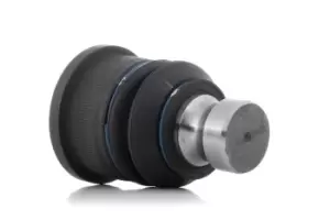 Image of RIDEX Ball joint OPEL,RENAULT,NISSAN 2462S0223 4016000Q0B,4418631,4016000Q0B 4418631,7701070154,93194857,93194857