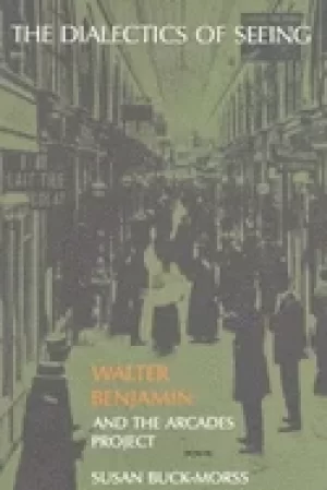 Image of dialectics of seeing walter benjamin and the arcades project