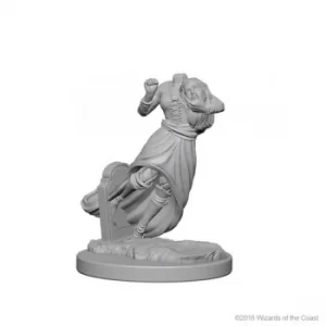 image of D&D Nolzur's Marvelous Unpainted Miniatures (W1) Ghosts