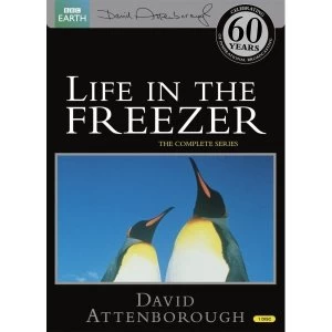 image of David Attenborough Life in the Freezer The Complete Series DVD