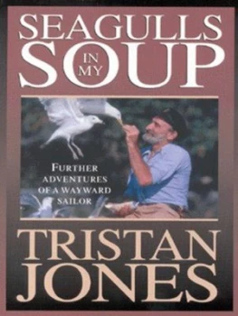Image of Seagulls in My Soup by Tristan Jones Paperback