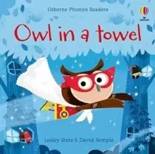 Image of Owl in a Towel