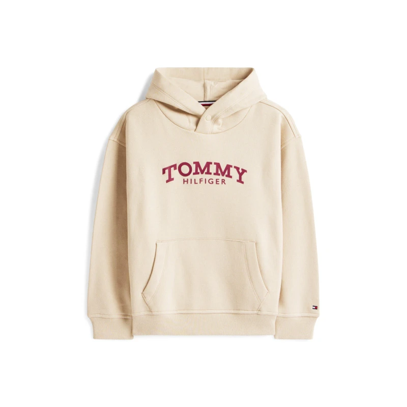Image of Tommy Hilfiger Kids Print Hoodie Gulf Sand male 14Y