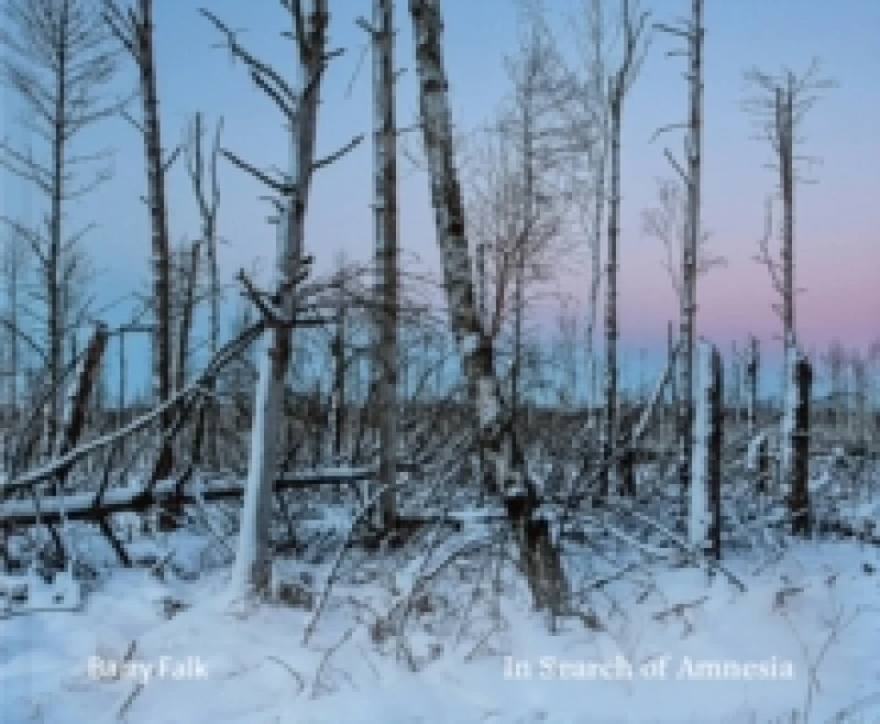 Image of In Search of Amnesia Hardback