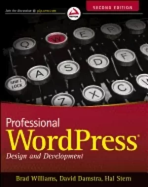 Image of professional wordpress design and development