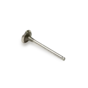Image of Borsehung Exhaust Valve VW,AUDI,SKODA B19005 036109611AE,036109611K,03C109611G 03C109611R,036109611AE,036109611K,03C109611G,03C109612,036109611AE