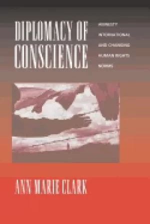 Image of diplomacy of conscience amnesty international and changing human rights nor