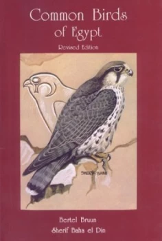 Image of Common Birds of Egypt by Bertel Bruun