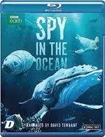 image of Spy in the Ocean [Bluray]