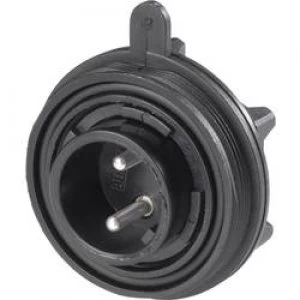 Image of Bulgin PX0730P 3 Pole IP68 Pin Connector Standard Buccaneer Front Panel Mount 10A
