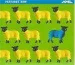 Image of Various Artists - Pastures New