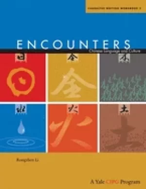 Image of encounters chinese language and culture character writing workbook 2