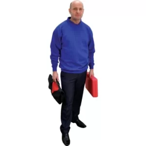 Image of S350R Large Royal Blue Sweatshirt