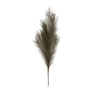 Image of Gallery Interiors Set of 6 Feathered Spray Khaki
