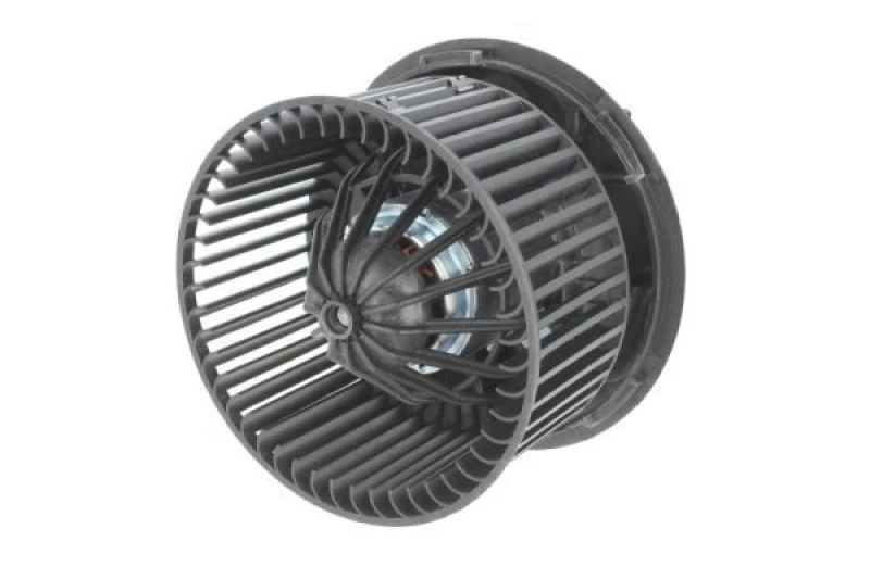 Image of THERMOTEC Blower motor THERMOTEC DDR014TT