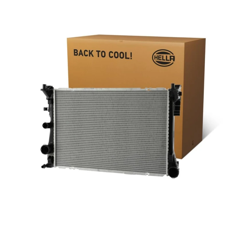 Image of HELLA Engine radiator HELLA 8MK 366 301-891