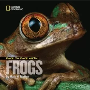 Image of face to face with frogs