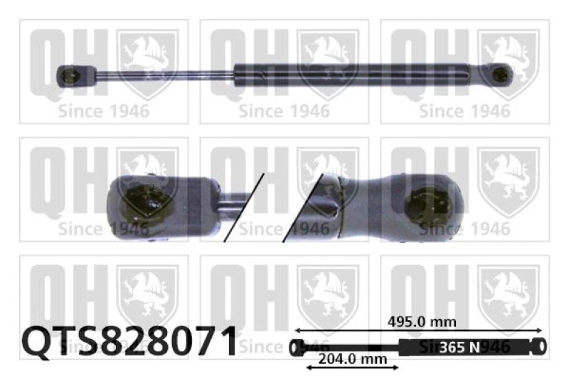 Image of QUINTON HAZELL Tailgate strut QUINTON HAZELL QTS828071