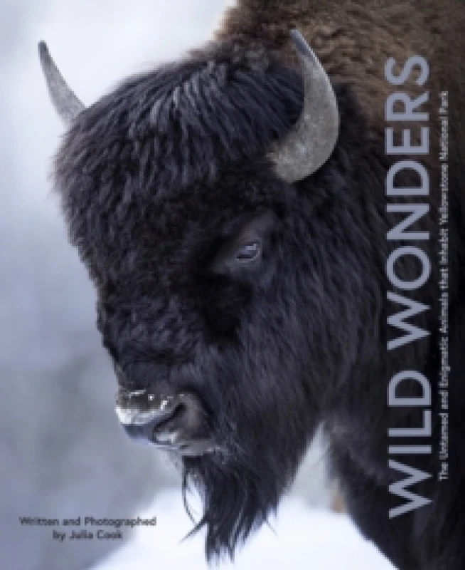 Image of Wild Wonders. Hardback. By Julia Cook Books