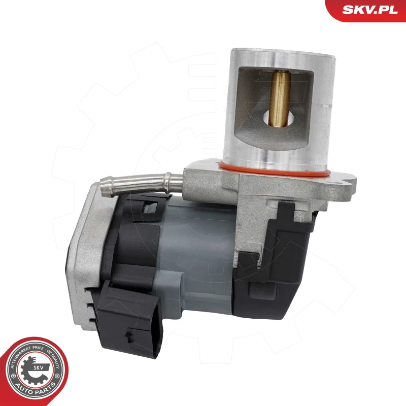 Image of ESEN SKV EGR valve ESEN SKV 14SKV310