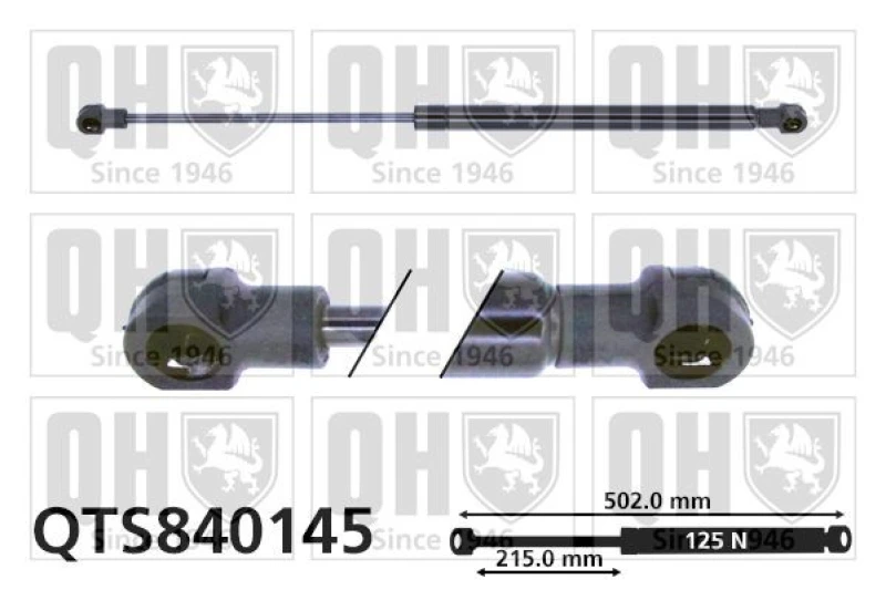 Image of QUINTON HAZELL Gas Spring, rear windscreen QUINTON HAZELL QTS840145