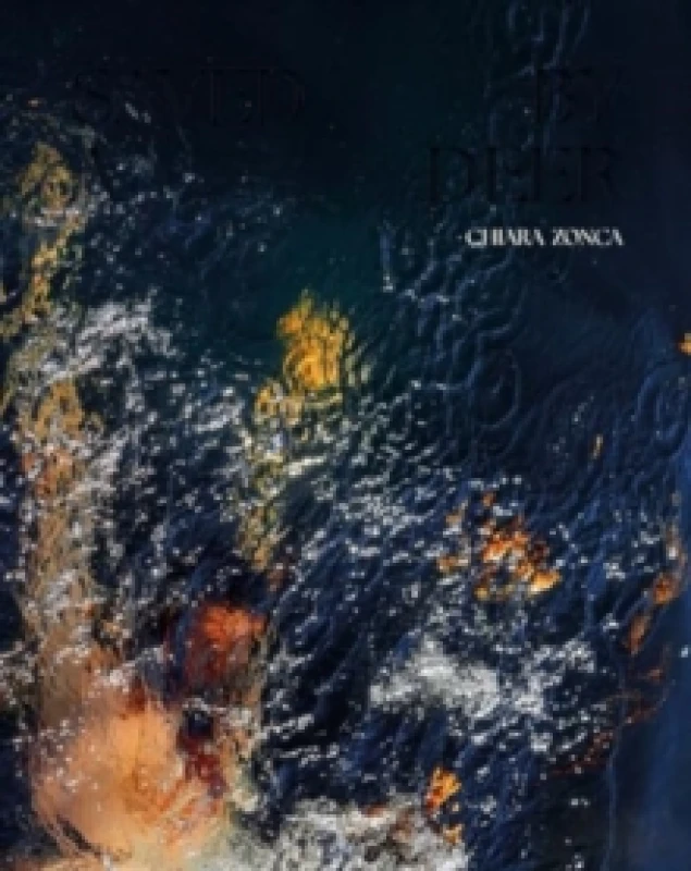 Image of Saved by a deer Hardback