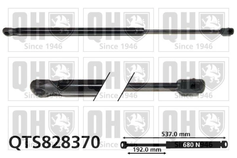 Image of QUINTON HAZELL Tailgate strut QUINTON HAZELL QTS828370