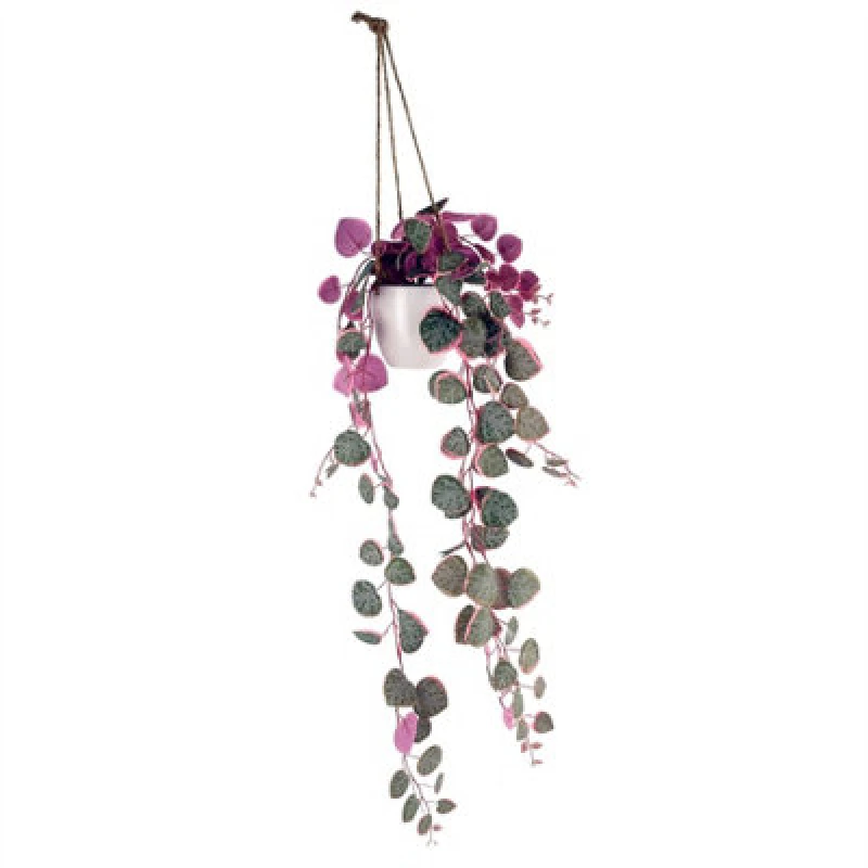 Image of Leaf 90cm Artificial Potted Hanging Trailing Pink Plant - String of Hearts Pink unisex