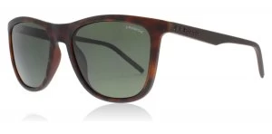 Polaroid PLD2049/S Sunglasses Matte Havana N9P Polariserade 55mm