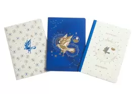 Image of harry potter ravenclaw constellation sewn notebook collection set of 3