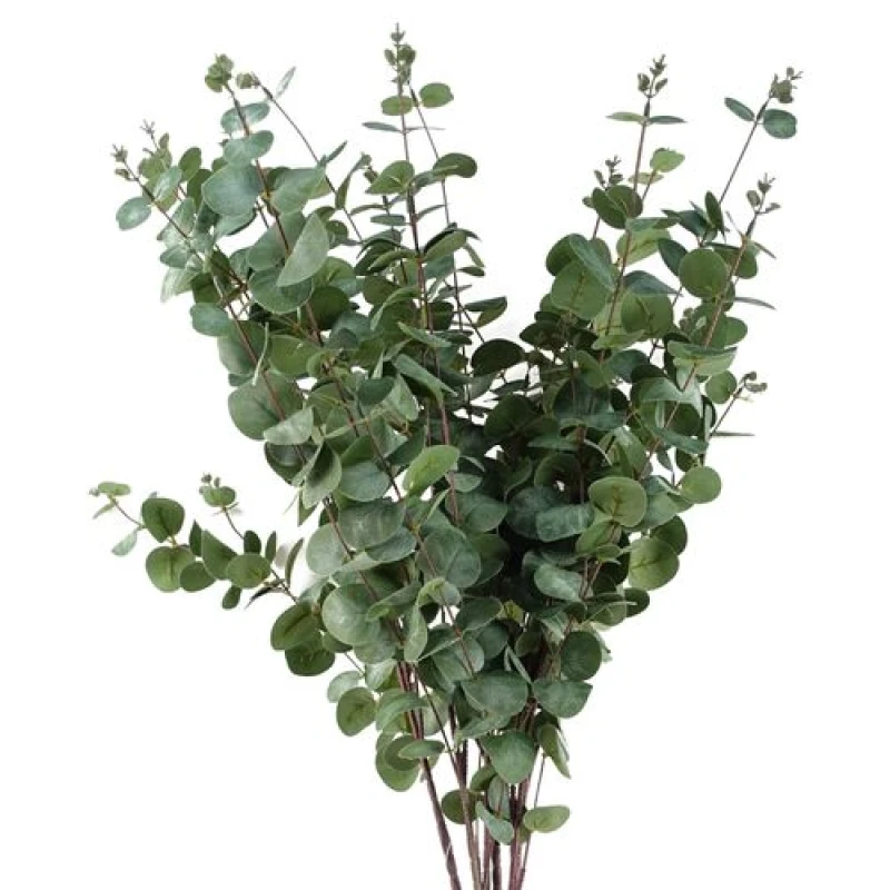 Image of Leaf 6 X 100Cm Artificial Eucalyptus Foliage