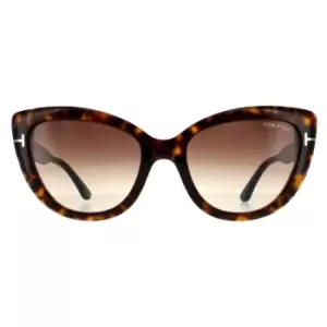 Image of Cat Eye Dark Havana Brown Gradient