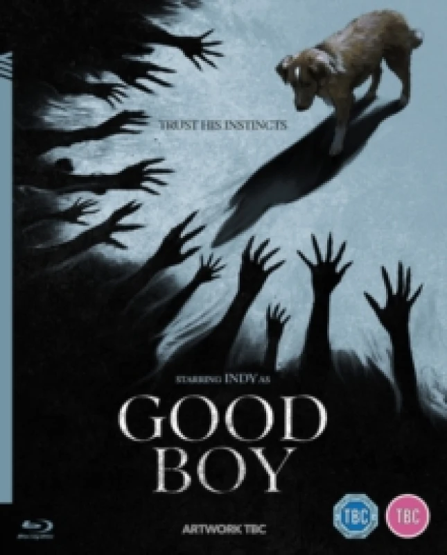 Image of Good Boy Bluray 5063894000032