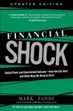 Image of financial shock global panic and government bailouts how we got here and wh