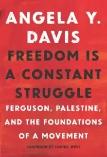 Image of Freedom Is A Constant Struggle : Ferguson, Palestine, and the Foundations of a Movement