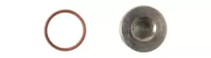 Image of HGV Sump Plug to suit Mercedes Pk 1 Connect 33163