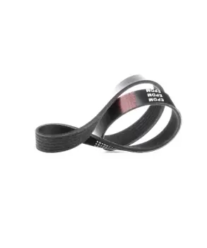 Image of RIDEX V-ribbed belt VW,AUDI,FIAT 305P0194 036145933AG,04E145933G,5750C3 Serpentine belt,Auxiliary belt,Poly V-belt,Ribbed belt,Multi V-belt,Poly belt