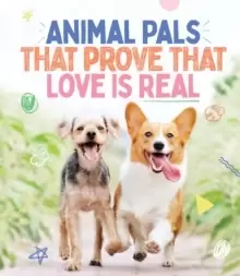 Image of Animal Pals That Prove That Love Is Real